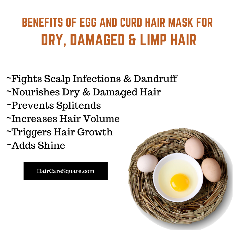 Nutrifying Egg Hair Mask – Homemade Hair Mask Lovers!
